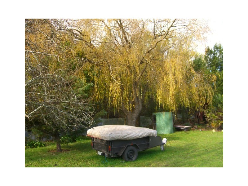 Scotts Creek VIC 3267