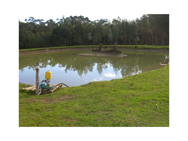 Scotts Creek VIC 3267
