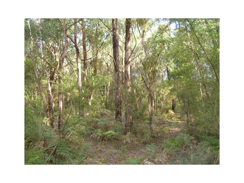 Scotts Creek VIC 3267