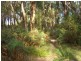 Scotts Creek VIC 3267