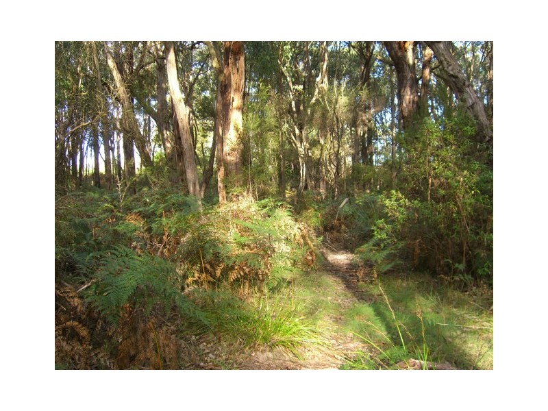 Scotts Creek VIC 3267