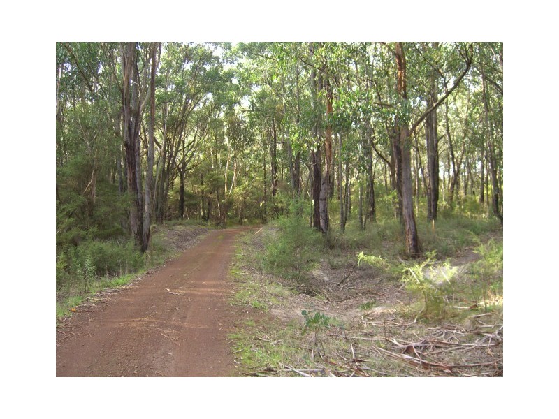 Scotts Creek VIC 3267