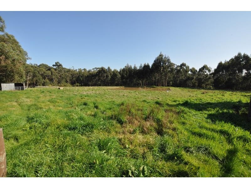 Scotts Creek VIC 3267
