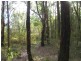 Scotts Creek VIC 3267