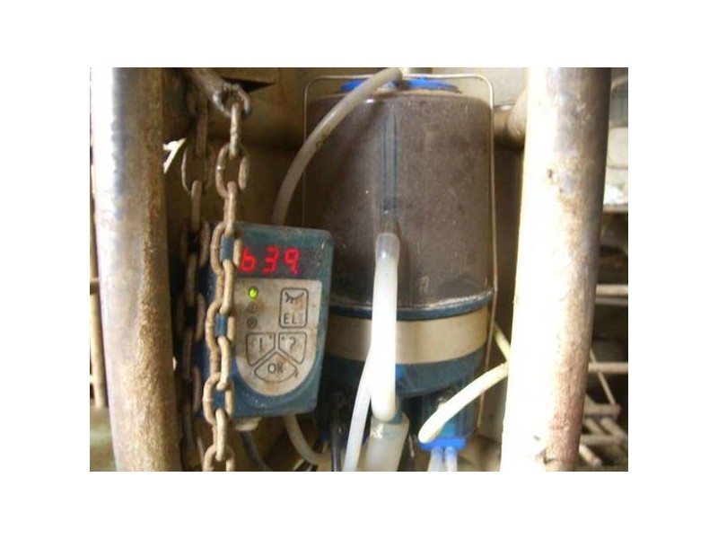 601 Boorook Road, Timboon VIC 3268