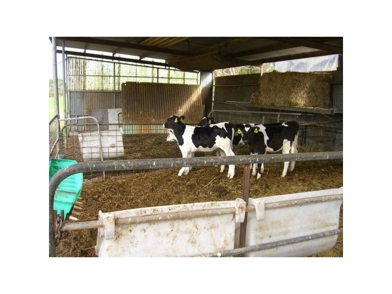 601 Boorook Road, Timboon VIC 3268