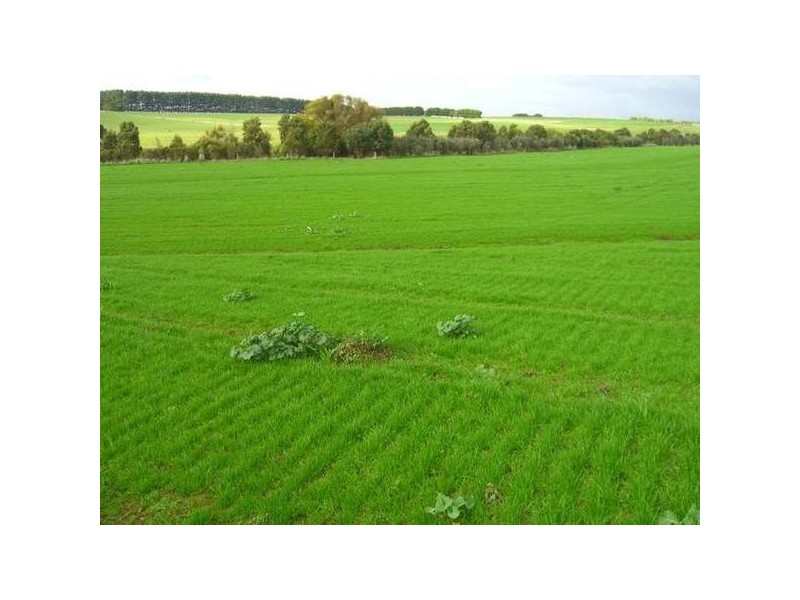 601 Boorook Road, Timboon VIC 3268