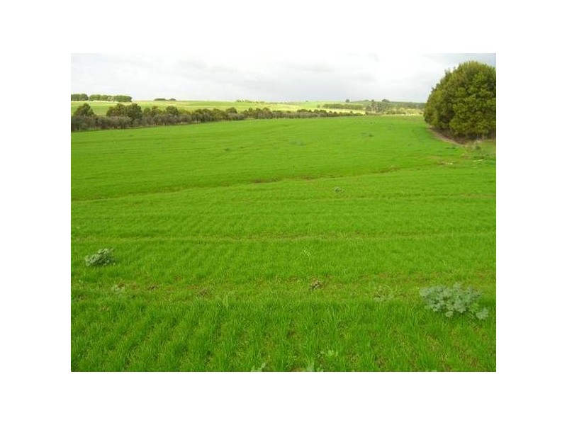 601 Boorook Road, Timboon VIC 3268