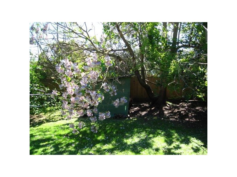 29 Morgan Street, Timboon VIC 3268