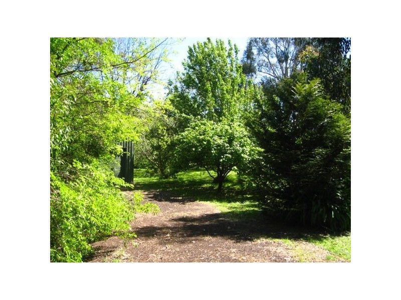 29 Morgan Street, Timboon VIC 3268