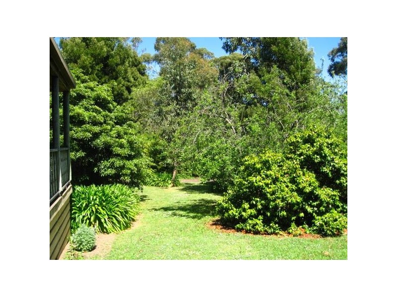 29 Morgan Street, Timboon VIC 3268