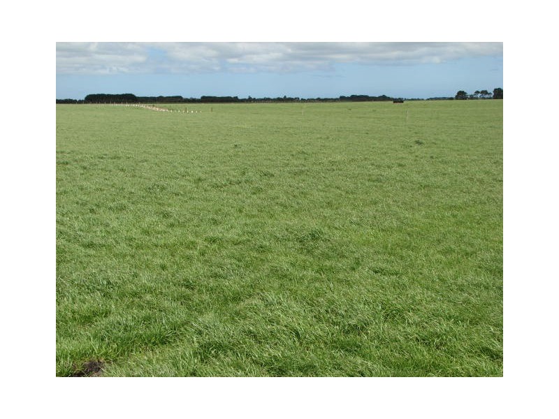 566 Willatook – Warrong Road, Willatook VIC 3283