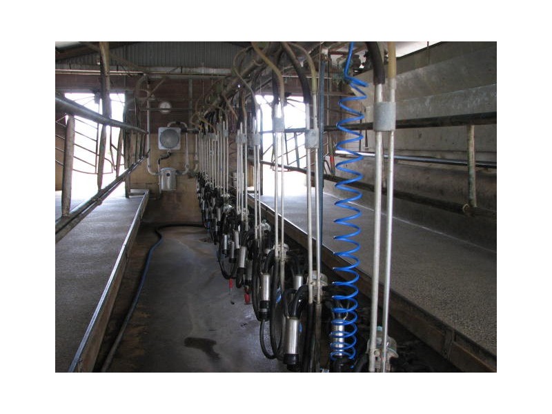 566 Willatook – Warrong Road, Willatook VIC 3283