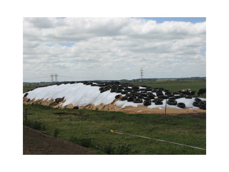 566 Willatook – Warrong Road, Willatook VIC 3283