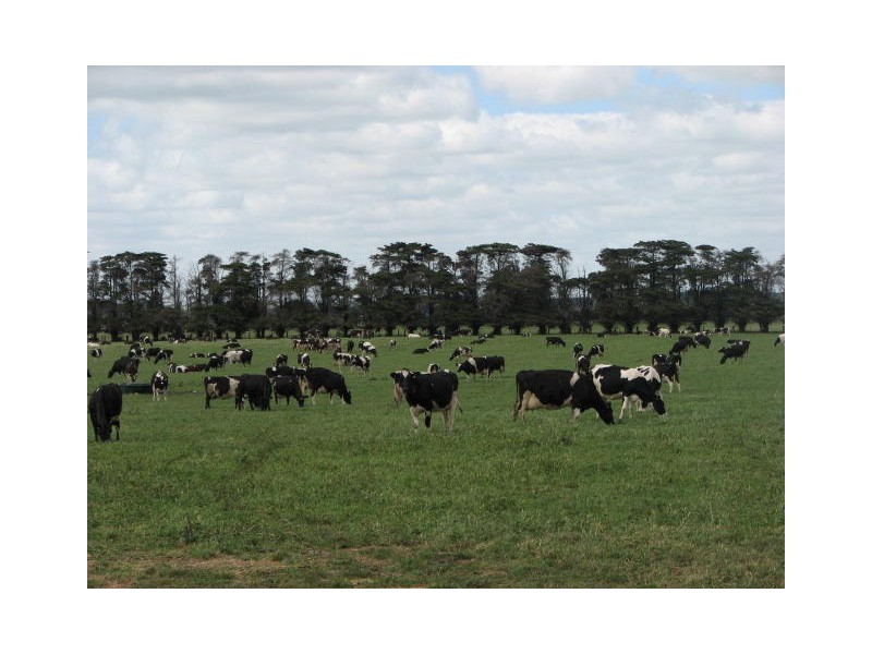 566 Willatook – Warrong Road, Willatook VIC 3283