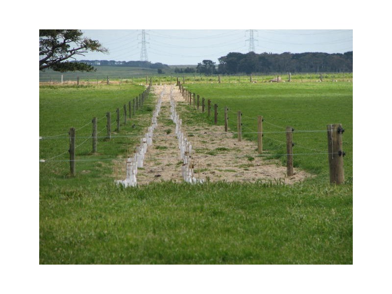 566 Willatook – Warrong Road, Willatook VIC 3283