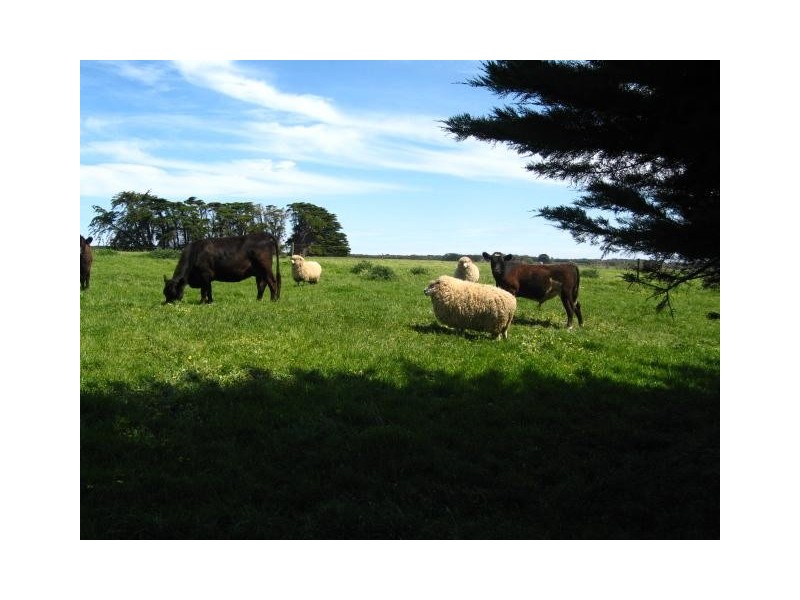 189 North South road, Timboon VIC 3268