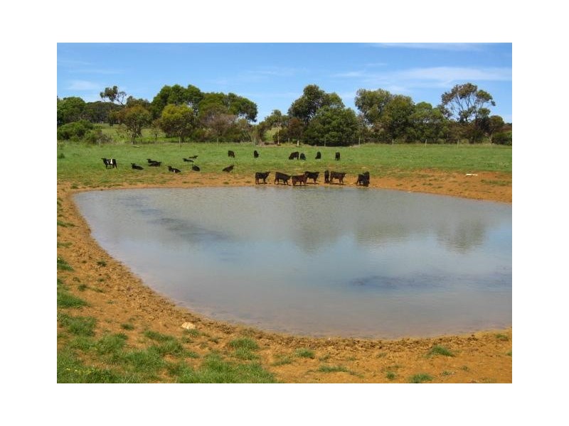 189 North South road, Timboon VIC 3268