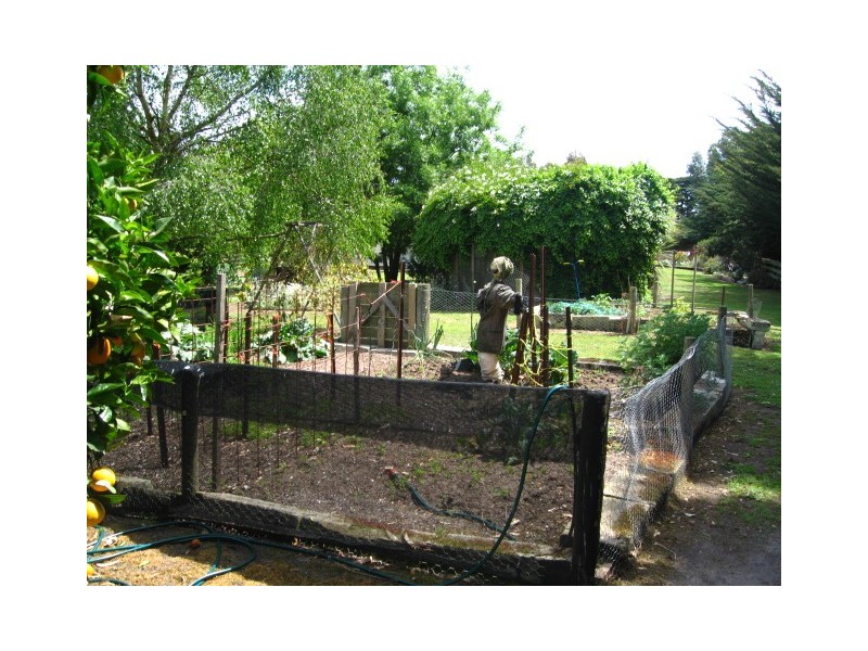 189 North South road, Timboon VIC 3268