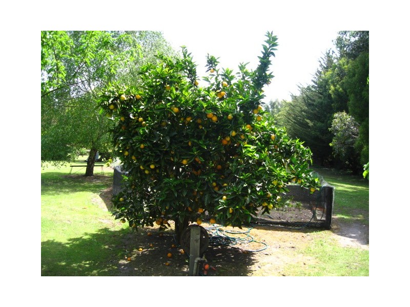 189 North South road, Timboon VIC 3268