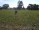 Cobden VIC 3266