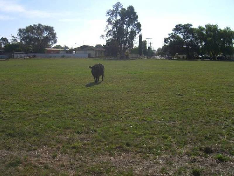Cobden VIC 3266