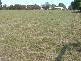 Cobden VIC 3266