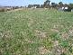 Cobden VIC 3266