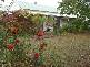 570 Swan Marsh Road, Swan Marsh VIC 3249
