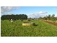 570 Swan Marsh Road, Swan Marsh VIC 3249