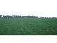 570 Swan Marsh Road, Swan Marsh VIC 3249