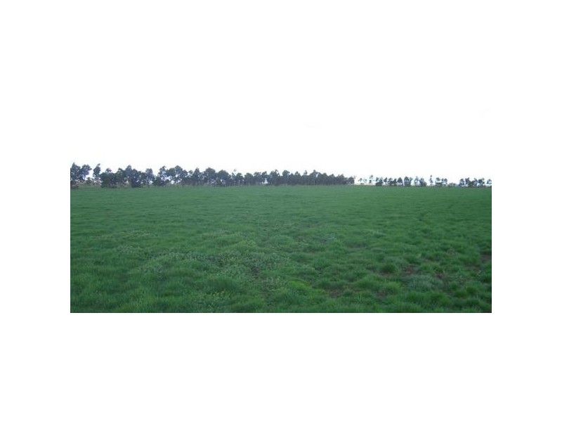 570 Swan Marsh Road, Swan Marsh VIC 3249
