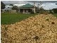 Cobden – Warrnambool Road, Glenfyne VIC 3266