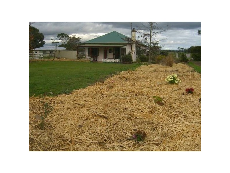 Cobden – Warrnambool Road, Glenfyne VIC 3266