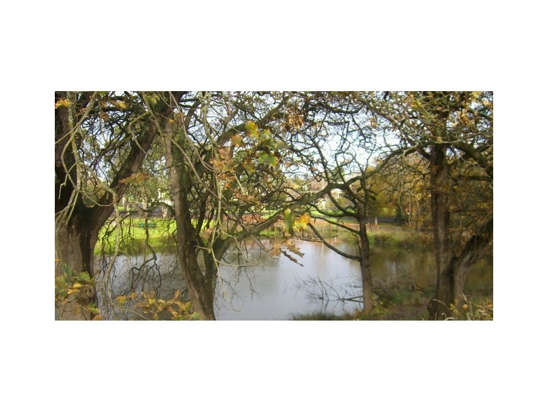 36a Peter Street, Cobden VIC 3266