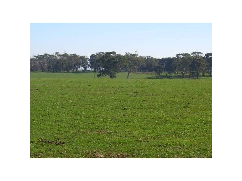 David Road, Cobden VIC 3266