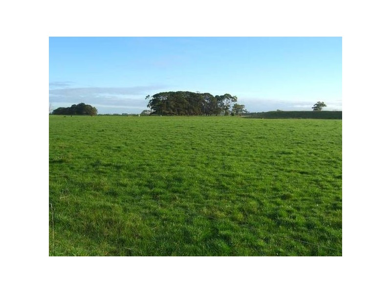 David Road, Cobden VIC 3266