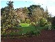 David Road, Cobden VIC 3266