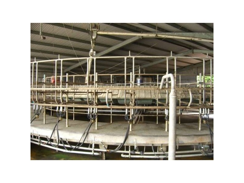 David Road, Cobden VIC 3266