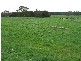 David Road, Cobden VIC 3266