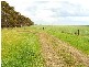 Camperdown VIC 3260