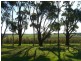 362 Gribbles Road, Jancourt VIC 3266