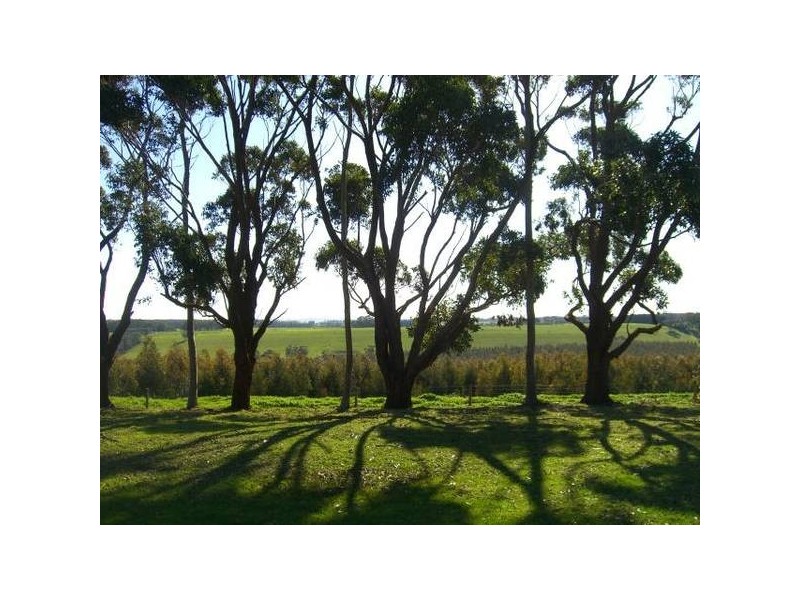 362 Gribbles Road, Jancourt VIC 3266