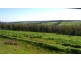362 Gribbles Road, Jancourt VIC 3266