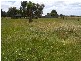1 Stoneyford Road,, Cobden VIC 3266