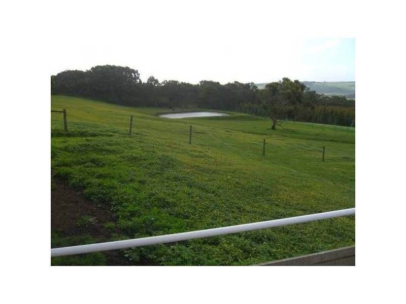 Scotts Creek VIC 3267