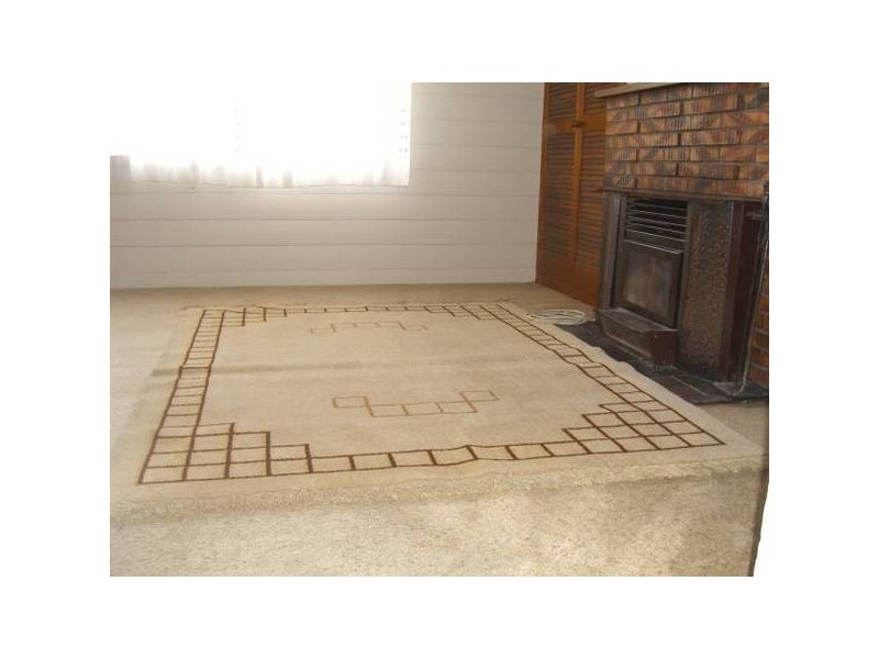 41 Bowen Street, Camperdown VIC 3260