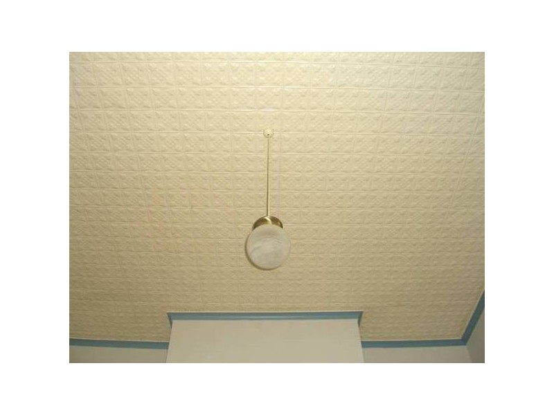 41 Bowen Street, Camperdown VIC 3260