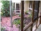 16 Rix Ave, Cobden VIC 3266