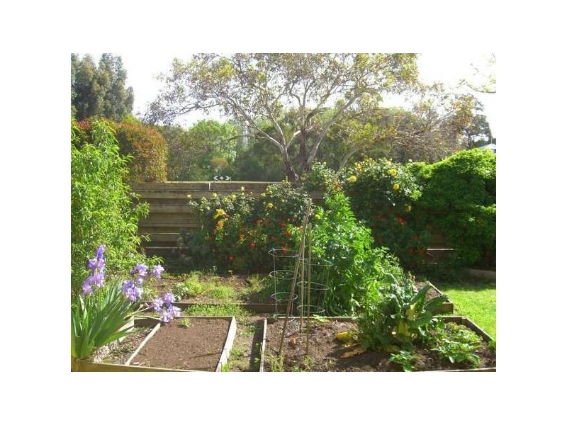 16 Rix Ave, Cobden VIC 3266